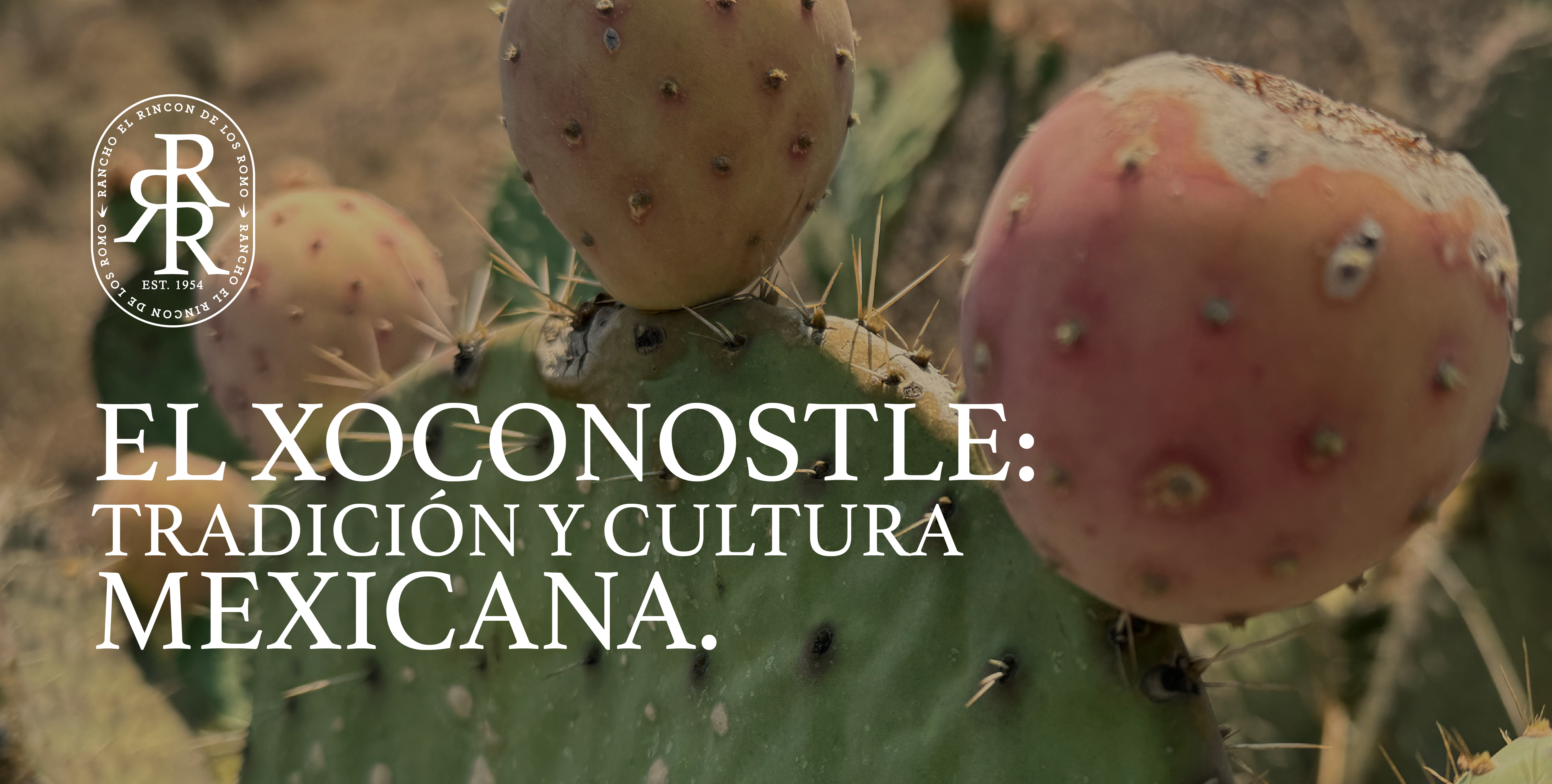 Xoconostle: tradición, cultura y sabor ancestral