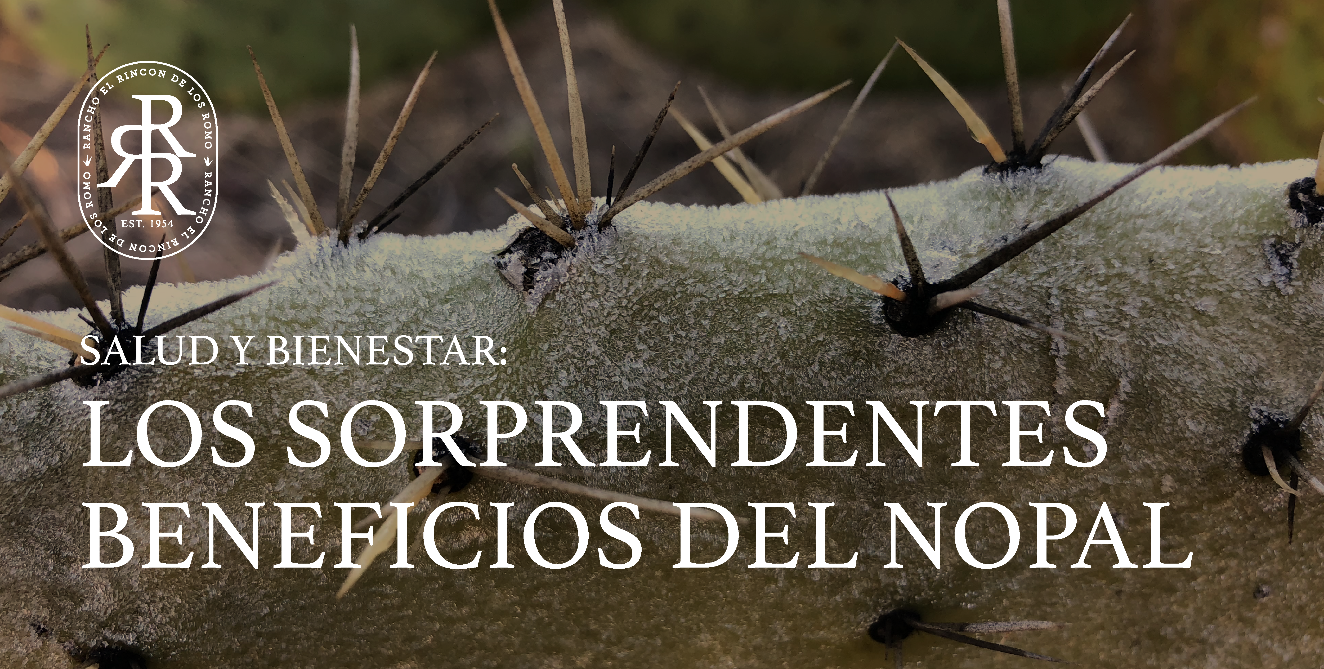 Beneficios del Nopal