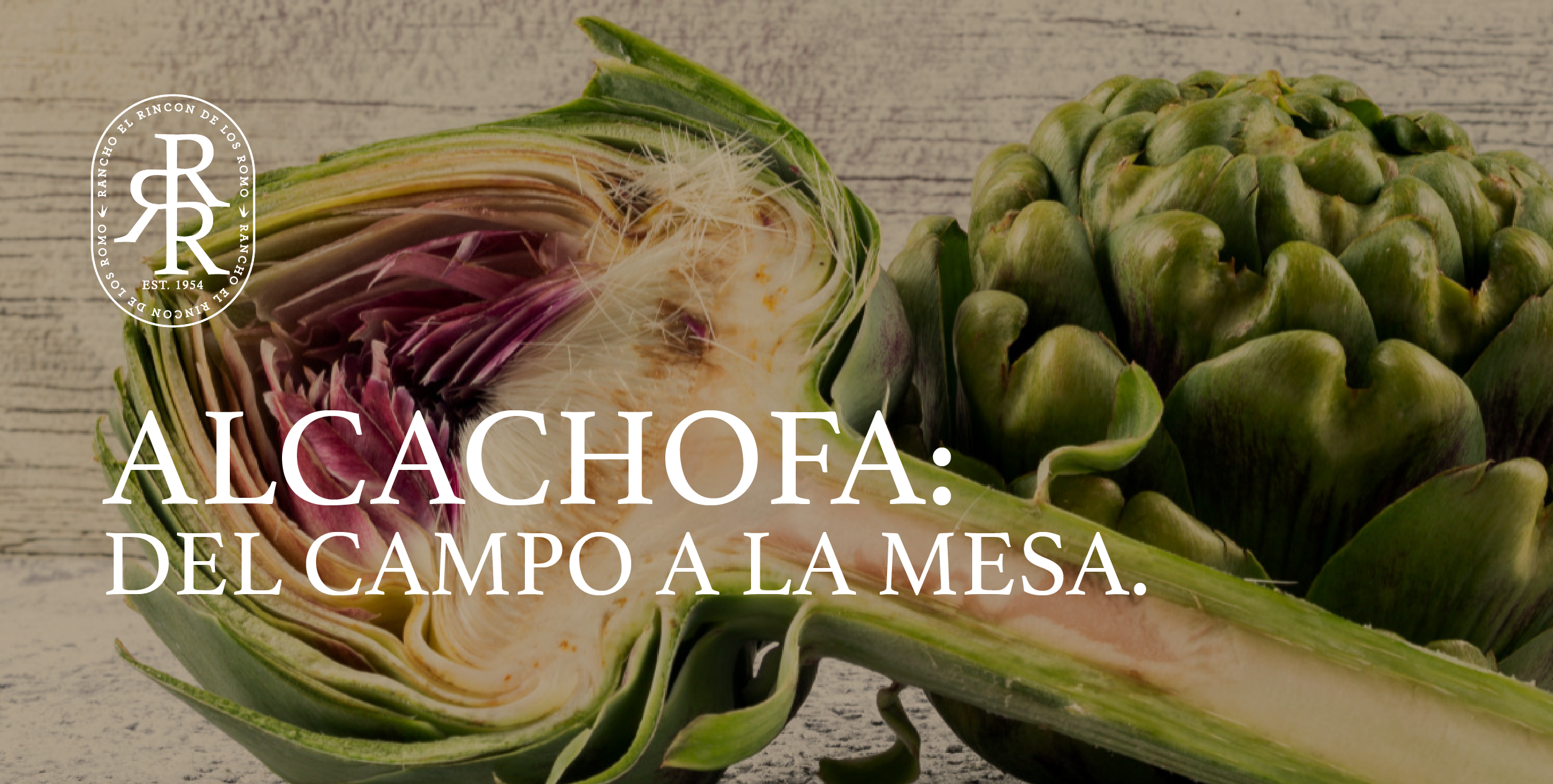 Alcachofa: del campo a la mesa