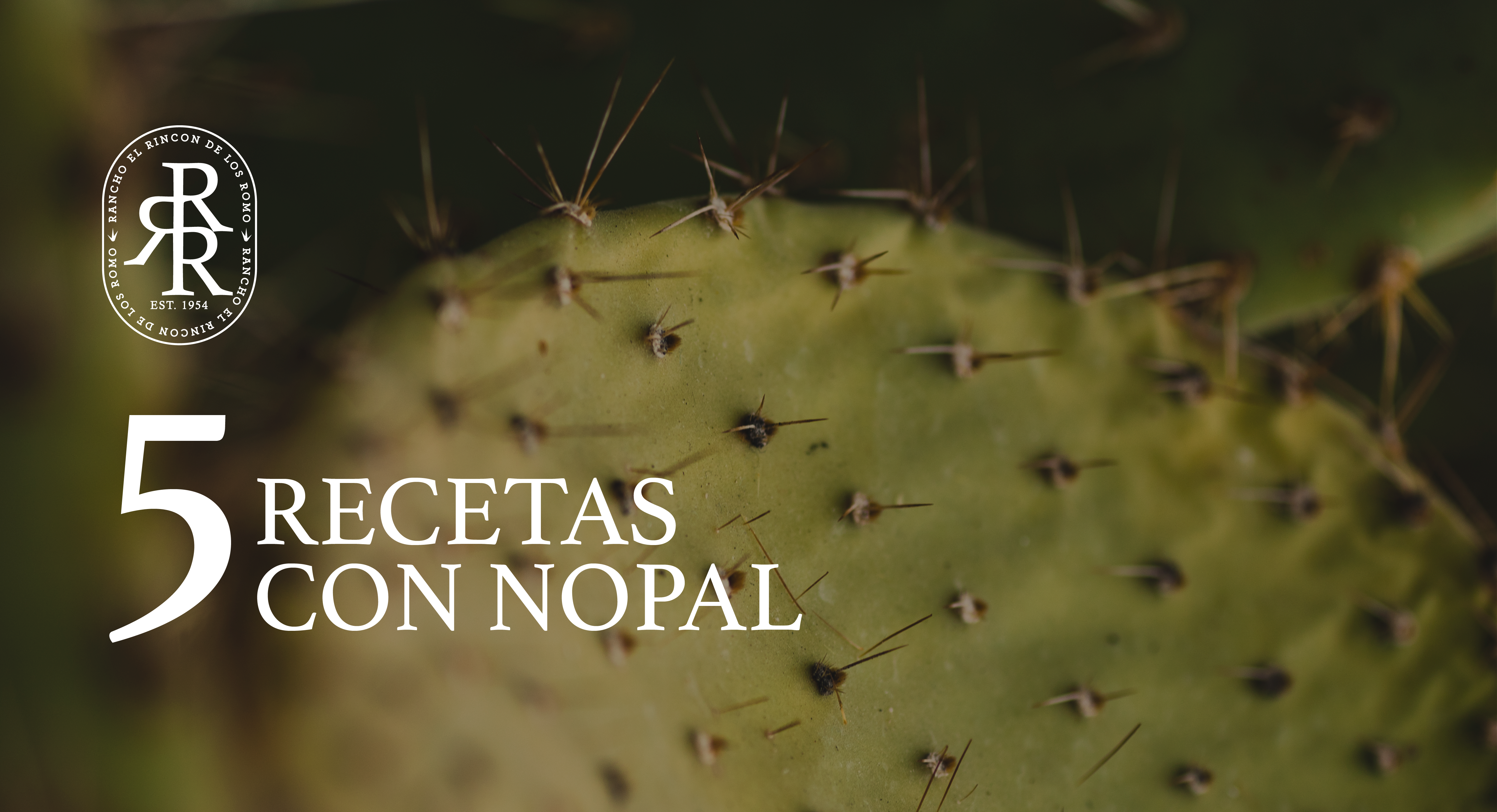 5 recetas con nopal