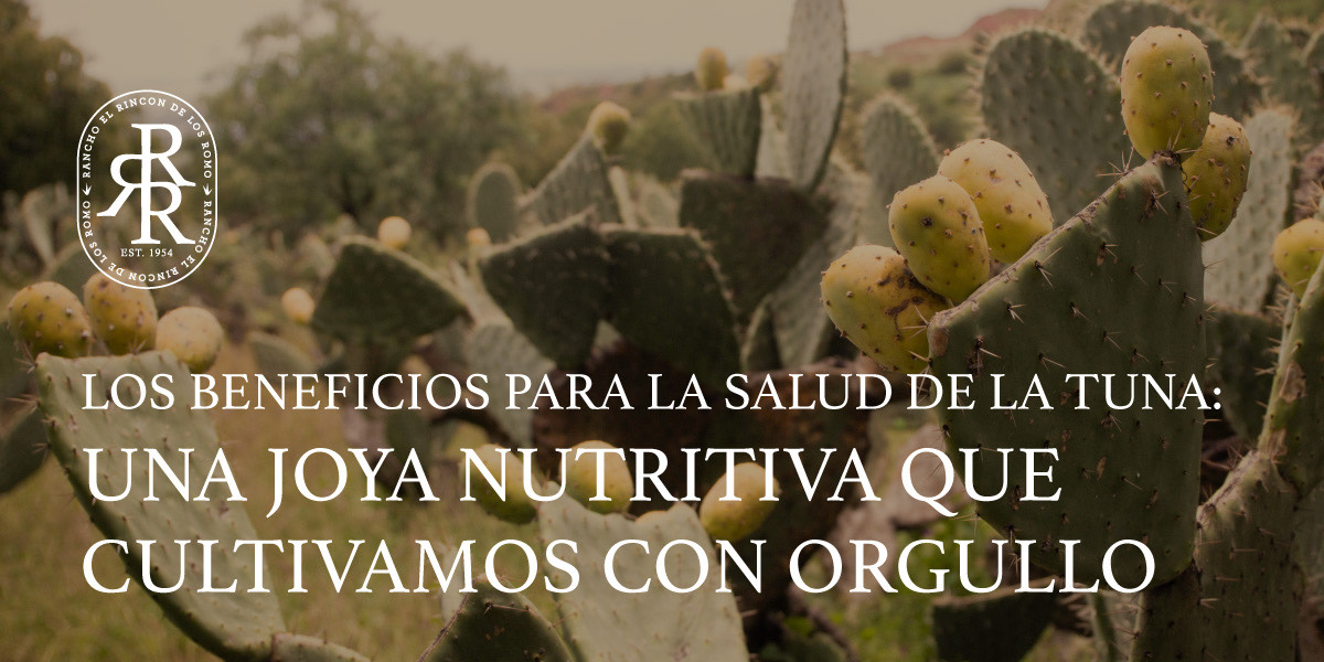 Beneficios de la Tuna
