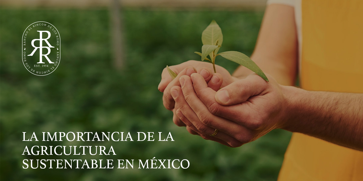 La importancia de la agricultura sustentable en México